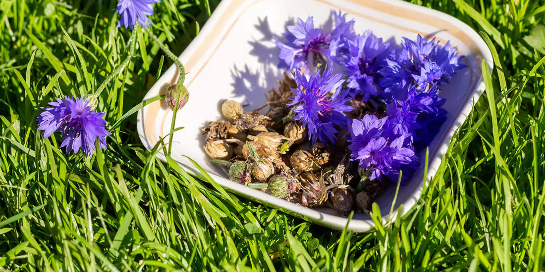 SEASONAL PLANTING GUIDE